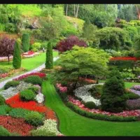 کار آموز با مدرک کارشناسی آشنا به فضای سبز
