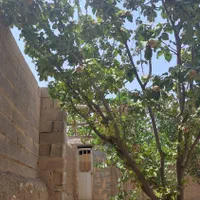 فروش باغ ویلایی ۳۰ متری ۱ خوابه در بوستان ناژوان|فروش خانه و ویلا|اصفهان, بوستان ناژوان|دیوار