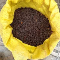 کشمش انگور عسگری بش|خوردنی و آشامیدنی|شیراز, شهرک بزین|دیوار