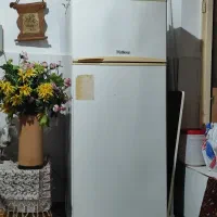 فروش فوری یخچال فیلور دو در