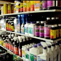 شرکت سمپاشی آریا سم پاشی سوسک ساس کنه(سراسر مشهد)|خدمات نظافت|مشهد, وکیل‌آباد|دیوار