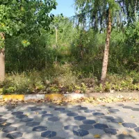تهراندشت-زیبا
