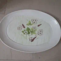 سینی ودیس|ظروف سرو و پذیرایی|تهران, پرستار|دیوار