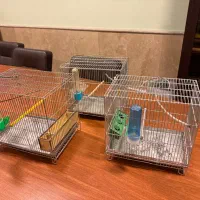 قفس پرنده فلزی