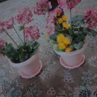 گل مصنوعی|گل مصنوعی|مشهد, ایثارگران|دیوار