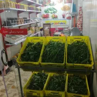 فروشنده خانم سبزی خردکن/میدان نوبهار زینبیه