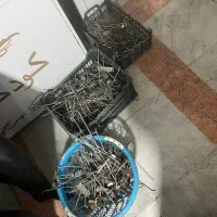 چوبکار ،سیخ رگال