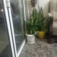 مغازه تجاری