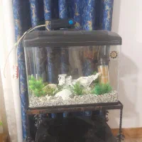 اکواریوم دلسا مدل k580