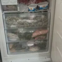 لوازم خانگی لباسشویی،  تلوزیون|تلویزیون و پروژکتور|مریوان, |دیوار