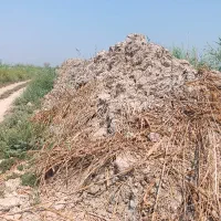 مقدار 1000 کمپرسی خاک برای فروش روستایی صفحه یک
