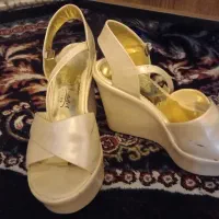 دوجفت کفش مجلسی