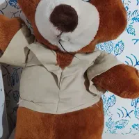 یک عدد خرس بزرگ