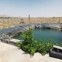 فروش زمین باغی