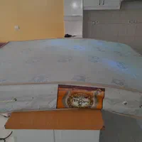 قالیشویی و مبل شویی و روفوگری اپادانا|خدمات نظافت|فولادشهر, فولادشهر|دیوار