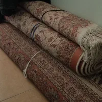 فروش 3 تخته فرش|فرش|صدرا-فارس, فاز ۱|دیوار