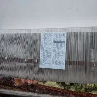 تابلو فرش نیمه کاره پاسور باز|تابلو فرش|ممقان, |دیوار