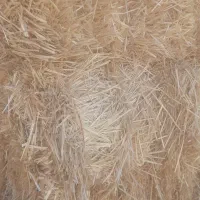 کلش یا کاه  پرس گندم
