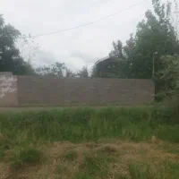 فروش زمین|فروش زمین و ملک کلنگی|خمام, |دیوار