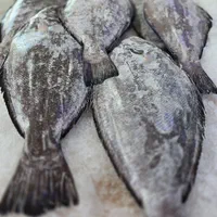 ماهی چنگو دم زرد و میگو|خوردنی و آشامیدنی|شیراز, تندگویان|دیوار