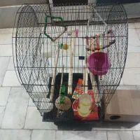 ۳ قفس پرنده تمیز و نو|لوازم جانبی حیوانات|کرمان, |دیوار