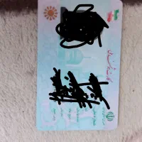 کیف کارتی گم شده