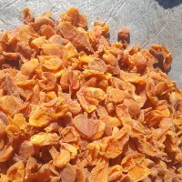 برگه زرد آلو