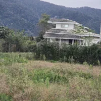 فروش زمین های داخل طرح باغی به متراژ های مختلف|فروش زمین و ملک کلنگی|چابکسر, |دیوار