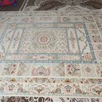 فرش رویال گلد نو نو نو|فرش|شیراز, میانرود|دیوار