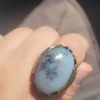 انگشتر شجر|جواهرات|قشم, |دیوار