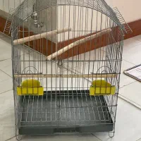 فروش قفس پرنده