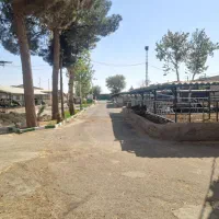 کارگر شیردوش مسلط و یک کارگر وسط کار|استخدام صنعتی، فنی، مهندسی|جوادآباد, |دیوار