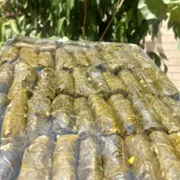 فینگرفود سینی میوه الویه بندری دسرودلمه|خوردنی و آشامیدنی|تهران, نیروی هوایی (پیروزی)|دیوار
