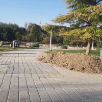 ۶۳۴ متر زمین باغی صحرا انقلاب