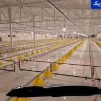 سرمایه گذاری در ساخت سالن مرغداری