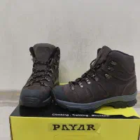 کفش پایار فالکون|کیف، کفش، کمربند|باقرشهر, |دیوار