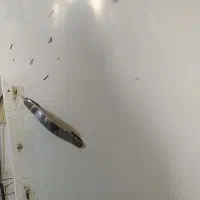 فروش دوعدد یخچال