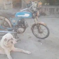 فروش یاماها روشن ببر|موتورسیکلت|سیمین شهر, |دیوار