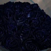 گل رز جاودان (روبانی)|گل مصنوعی|برازجان, |دیوار