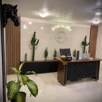 لیزر موهای‌زائد‌فول بادی ۶۱۹،تضمینی ،خدمات زیبایی