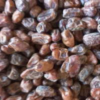خرمای کبکاب شسته وتمیز خانگی کیلو130فعلا|خوردنی و آشامیدنی|شیراز, احمدآباد|دیوار