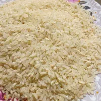 *برنج کامفیروزی ۲۸۰|خوردنی و آشامیدنی|شیراز, حافظیه|دیوار