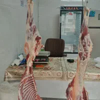 گوشت کهره و بره با بهترین کیفیت
