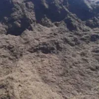 کود حیوانی|خدمات باغبانی و درختکاری|دماوند, دماوند|دیوار