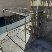 قفس