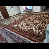 انواع فرش های دستبافت|فرش|کرمانشاه, |دیوار