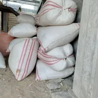 مقداری کاه کسن کاه نخود