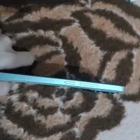 گوشی پوکو x6|موبایل|ورامین, ورامین|دیوار