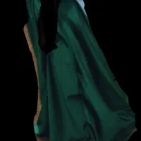 لباس مجلسی زنانه. سالم
