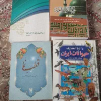 کتاب|کتاب و مجله تاریخی|الشتر, |دیوار